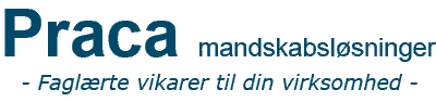 Mandskabsudlejning | Effektive Vikarer med Skoleuddannelse